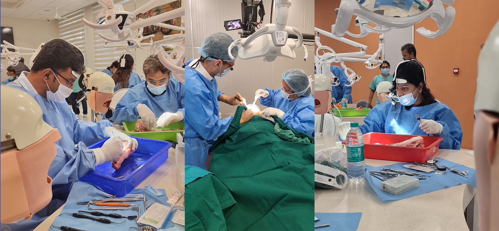 Hands-on sinus augmentation dental training at Acharya Foundation